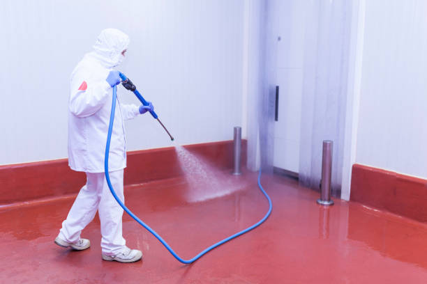 Best Dumpster Area Cleaning  in Grass Lake, MI