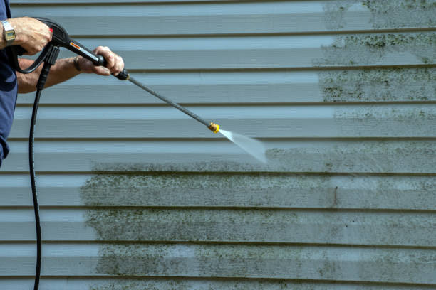 Best House Exterior Washing  in Grass Lake, MI